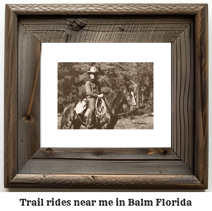 trail rides near me in Balm, Florida